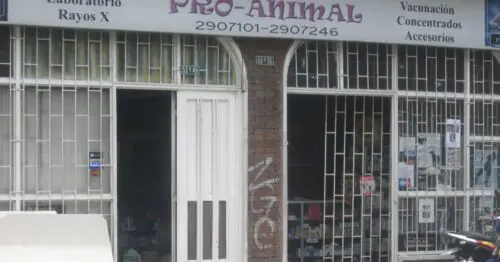 VETERINARIA PROANIMAL BOGOTÁ VETERINARIA PROANIMAL BOGOTÁ